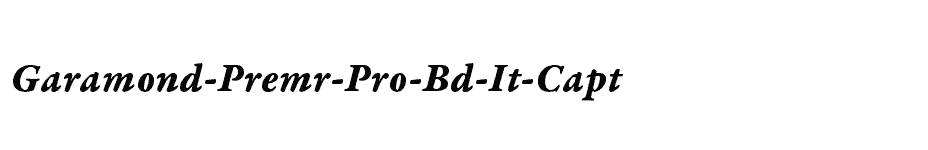 font Garamond-Premr-Pro-Bd-It-Capt download