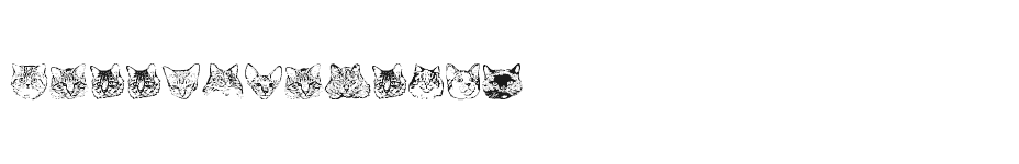 font Kitty-Print-AOE download