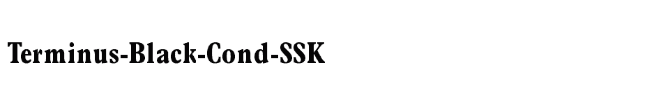font Terminus-Black-Cond-SSK download