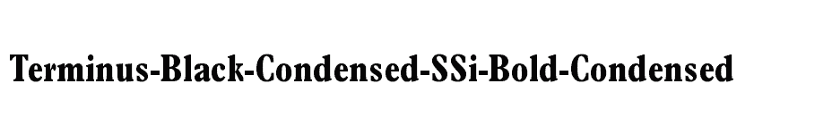 font Terminus-Black-Condensed-SSi-Bold-Condensed download
